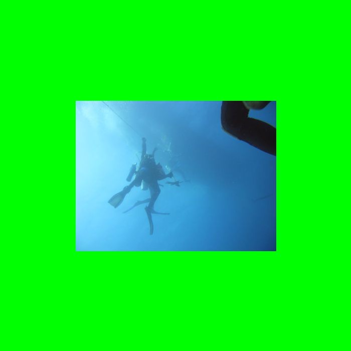 Dive NC 4-Jul-09_561 Hanging.jpg